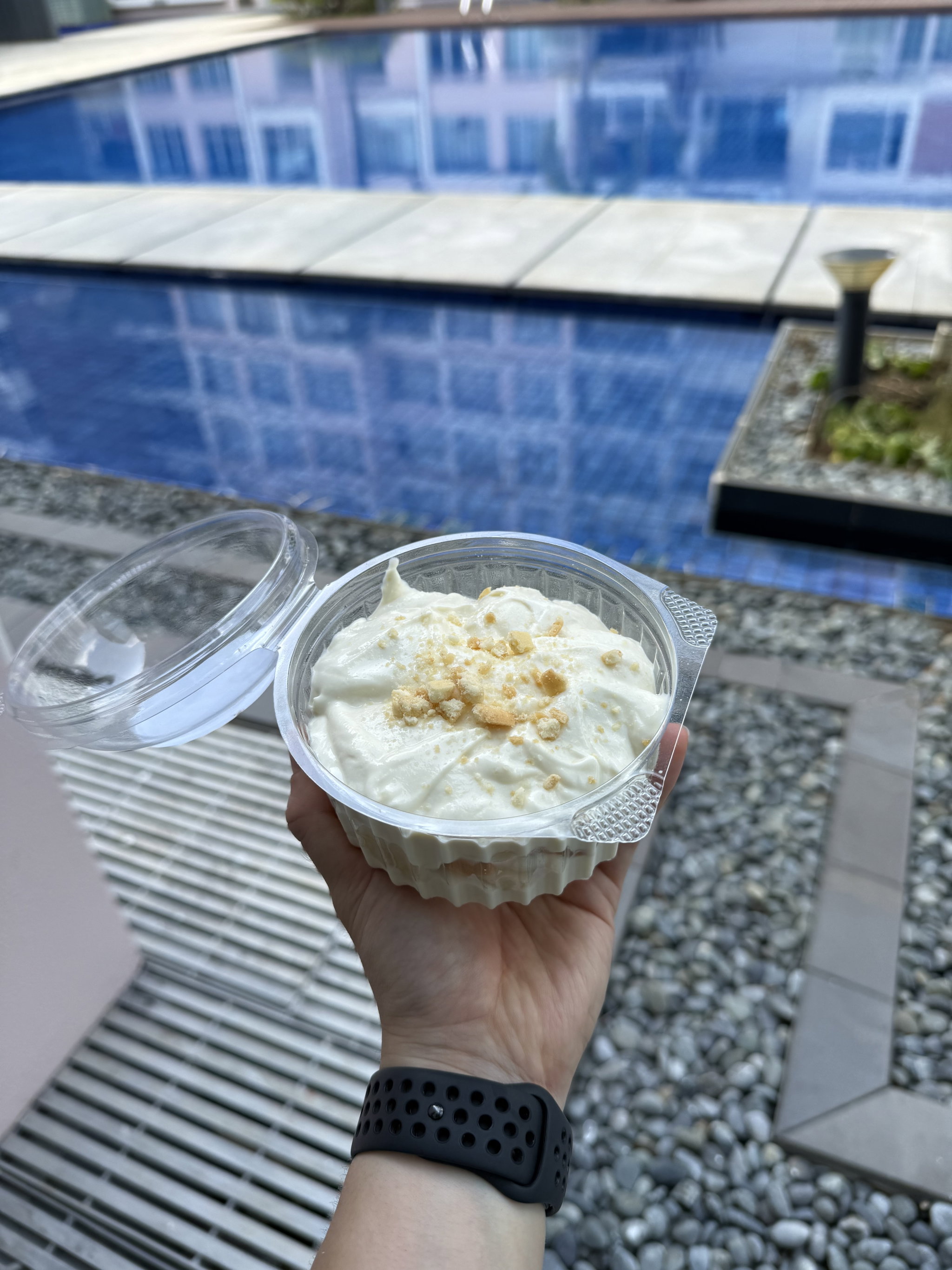Banana Protein Pudding (Bundle of Three)_1