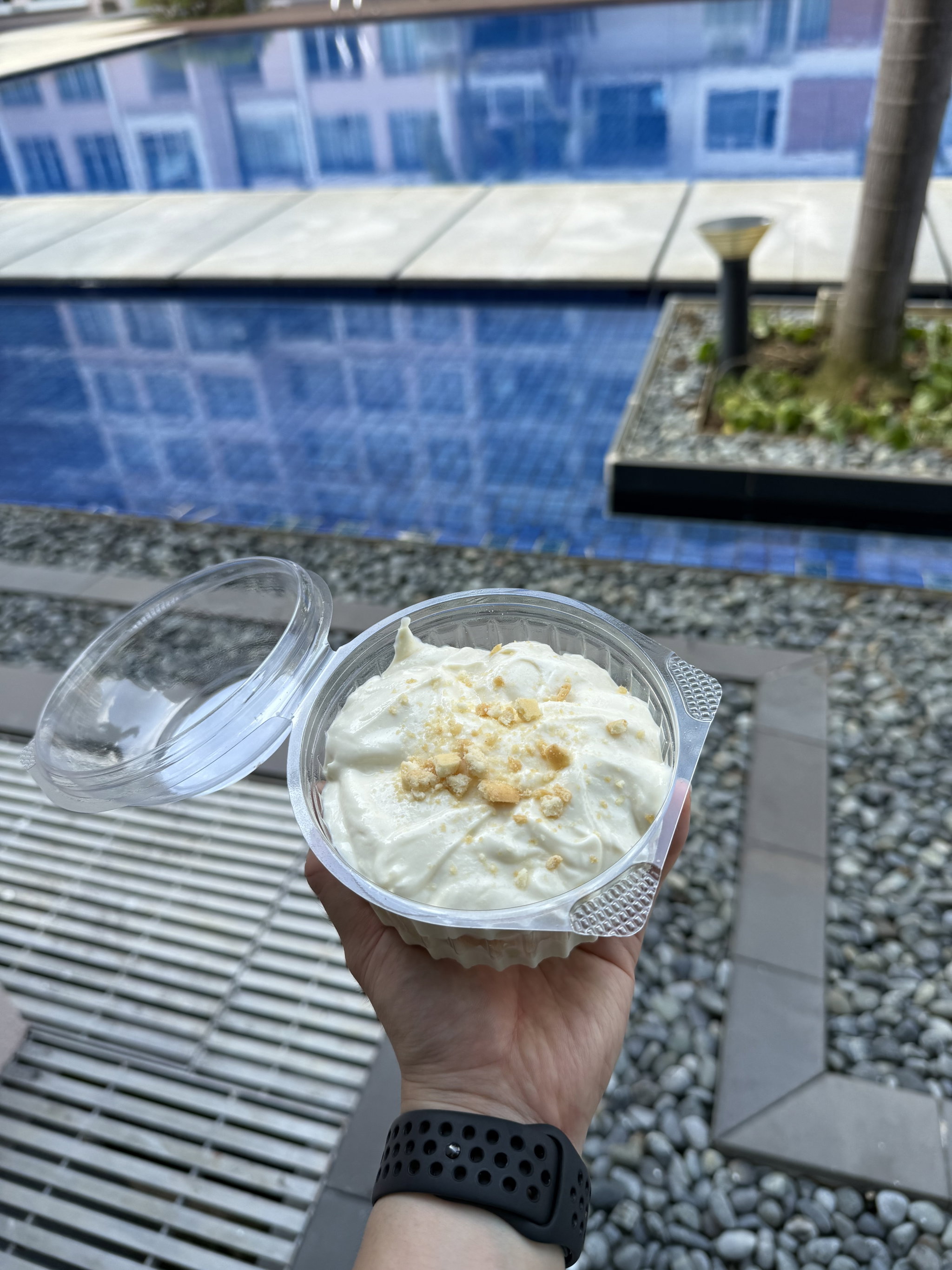 Banana Protein Pudding (Bundle of Three)_2