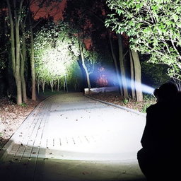 Linterna frontal LED 