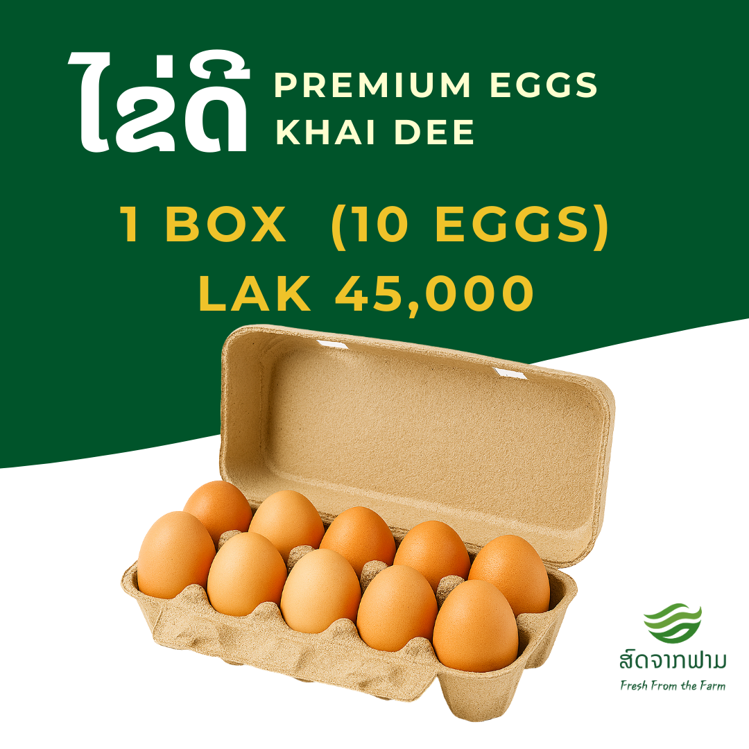 ໄຂ່ດີ - ແພັກ (10 ໜ່ວຍ), Khai Dee Premium Eggs - Pack (10 Eggs)_0