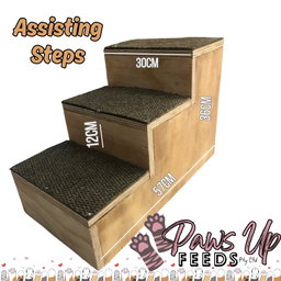 Assisting Steps
