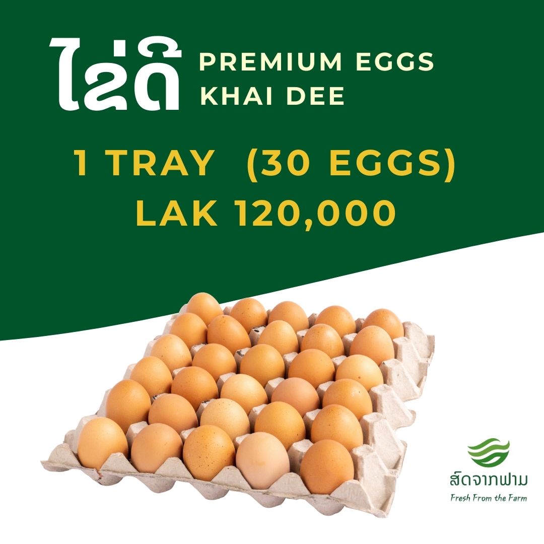 ໄຂ່ດີ – ແຕະ (30 ໜ່ວຍ), Khai Dee Premium Eggs – Tray (30 Eggs)