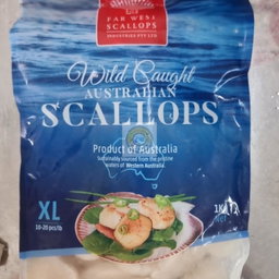 Australian Wild Caught Scallop