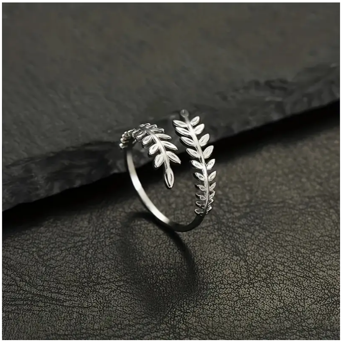 Silver colour rings_2