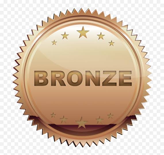 Bronze (Group Mentorship)_0