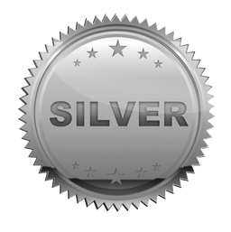 Silver (Group + Limited 1-on-1)