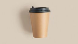Plain Brown Double Walled Paper Cups 12oz (25cups)