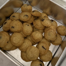 Mini Seasalt Chocolate Chip Cookies