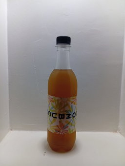 Kombucha -Apple Tea 