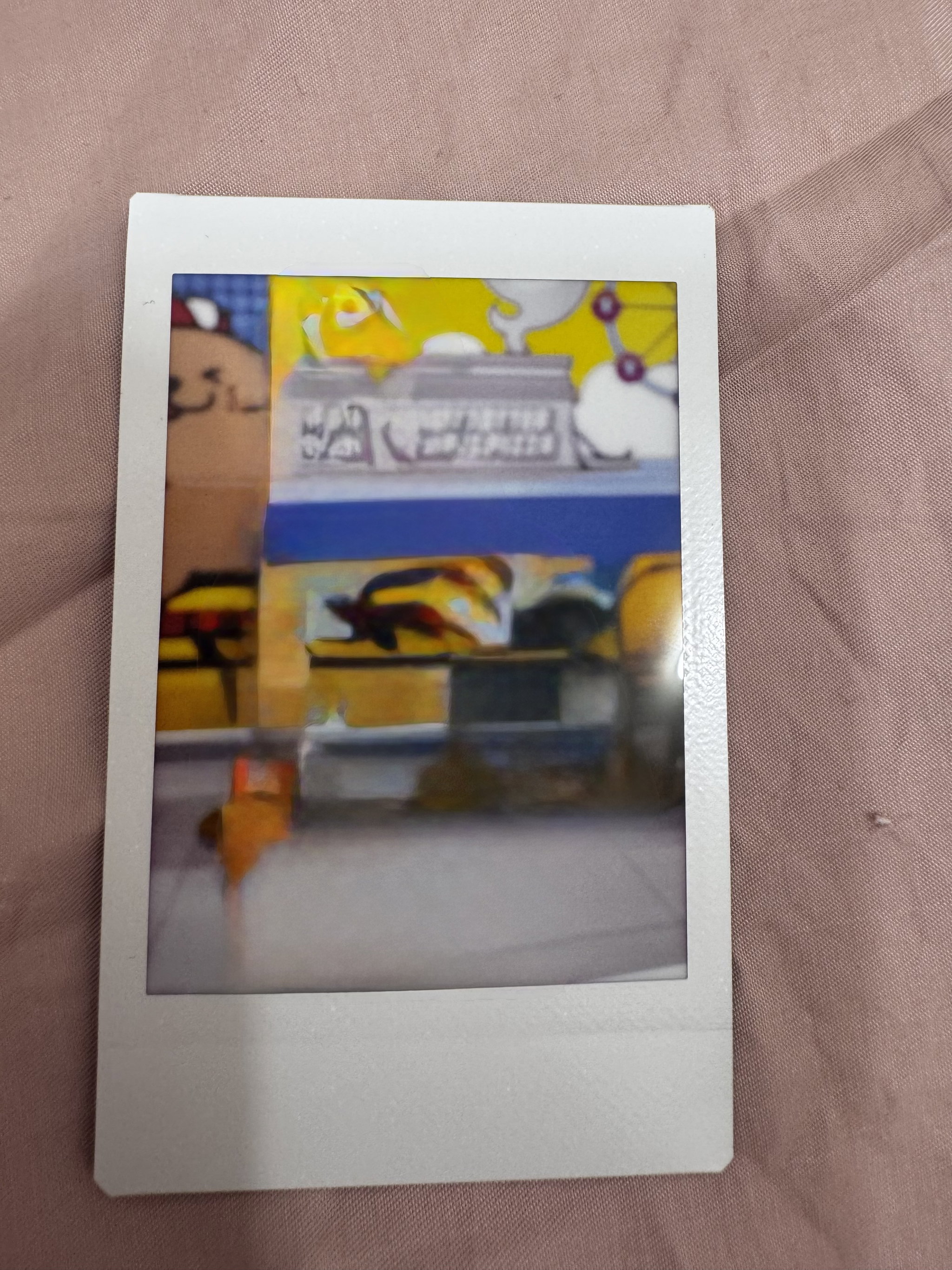 Customisable Polaroids_0
