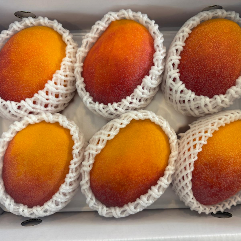 Premium Apple Mango 3kg (6-8piece) *07/Oct arrive**_2