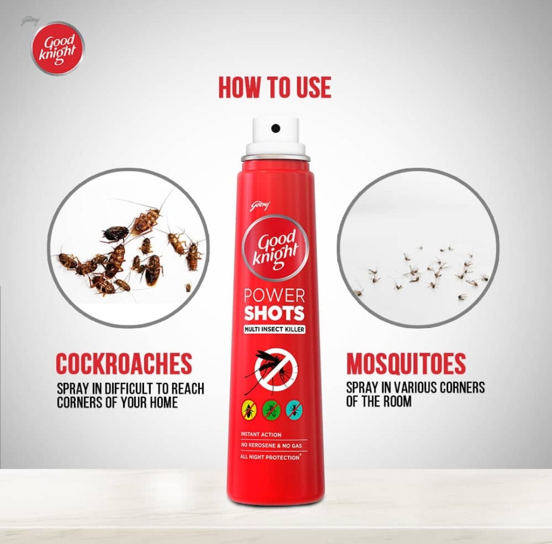 Goodnight shots 120 ml insecticide spray _0