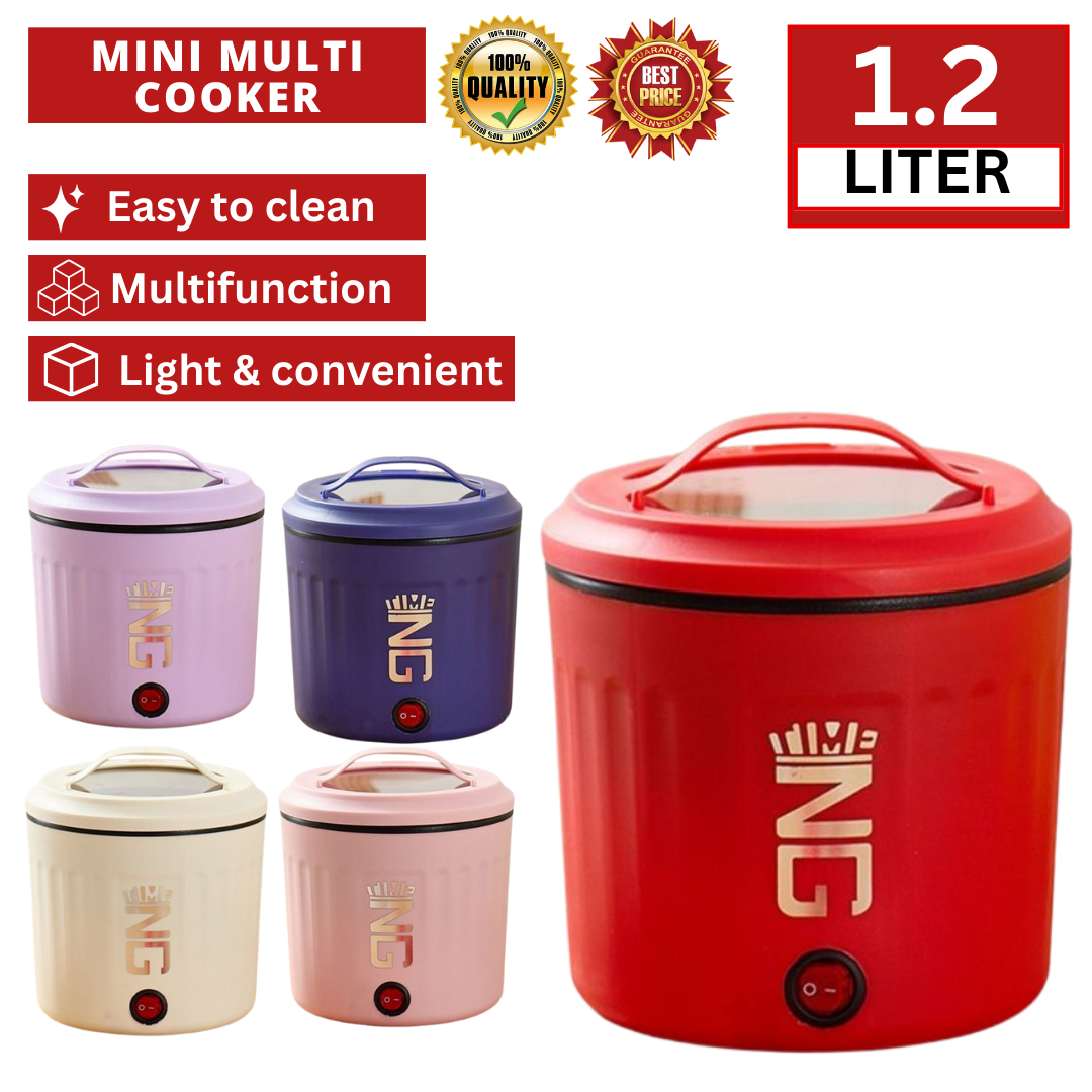 1.2L Mini Multi Cooker_0