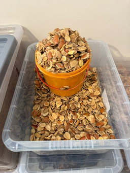 Ogbono Seeds
