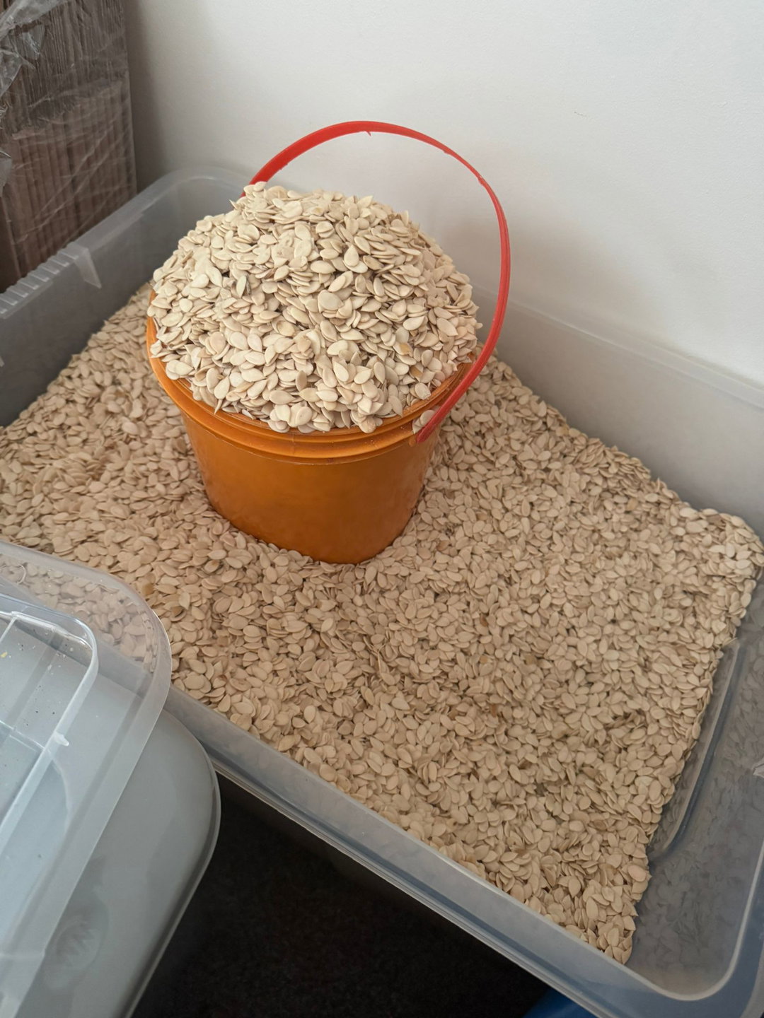 Hand-Peeled Egusi Seeds