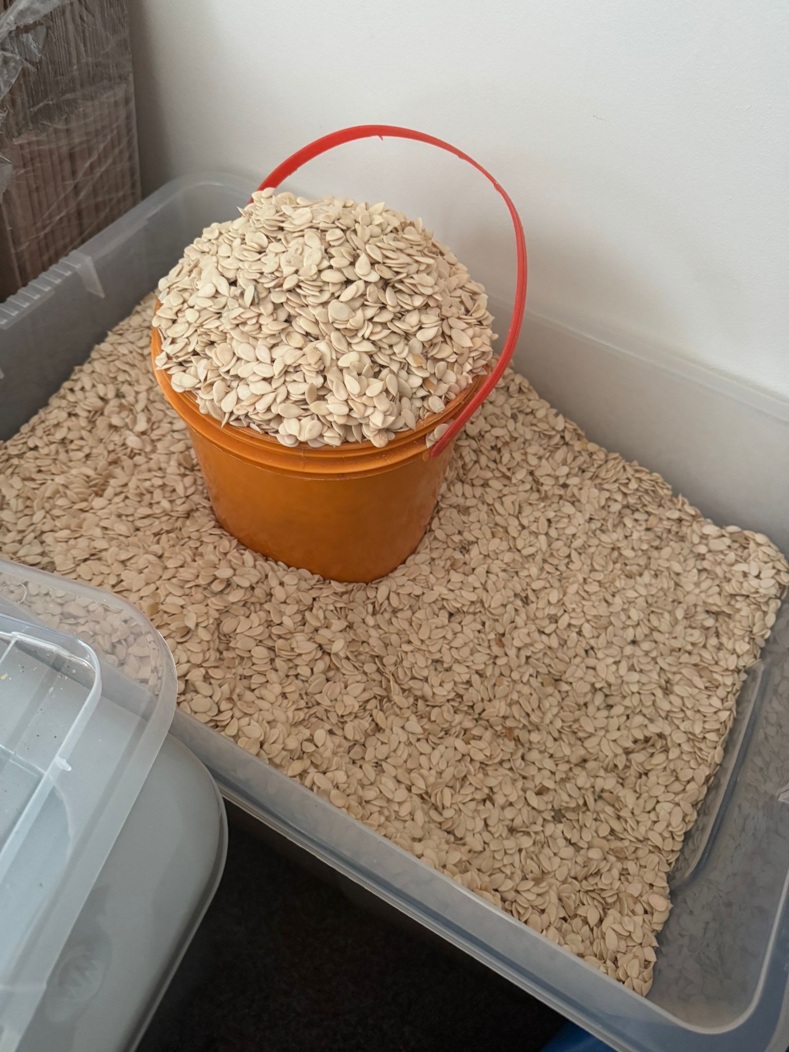 Hand-Peeled Egusi Seeds_0