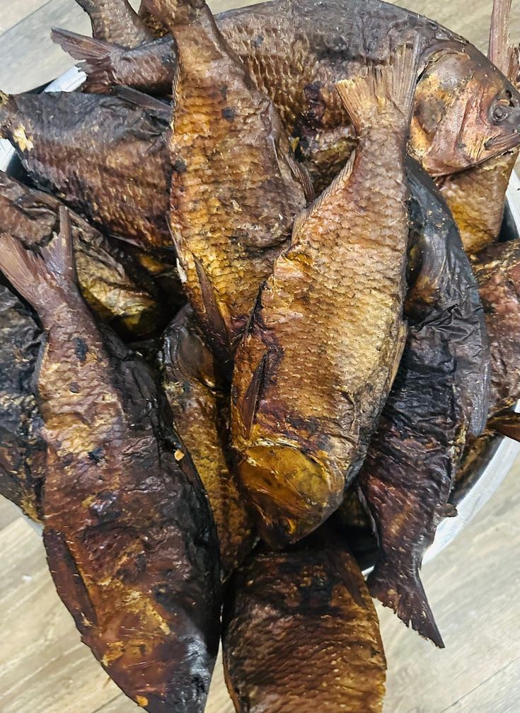 Bonga Fish_0