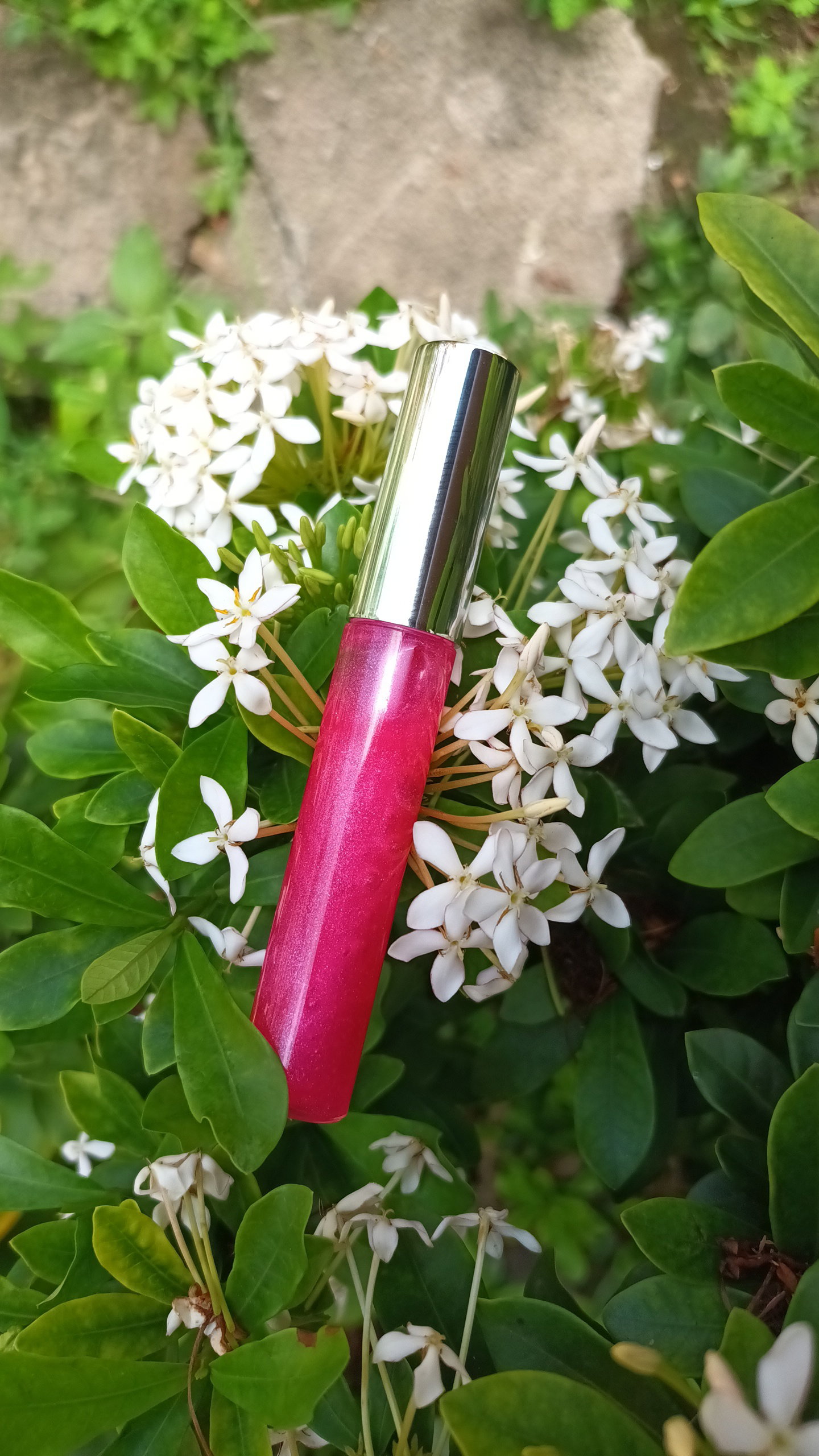 XOXO 💋 Lip Gloss _1