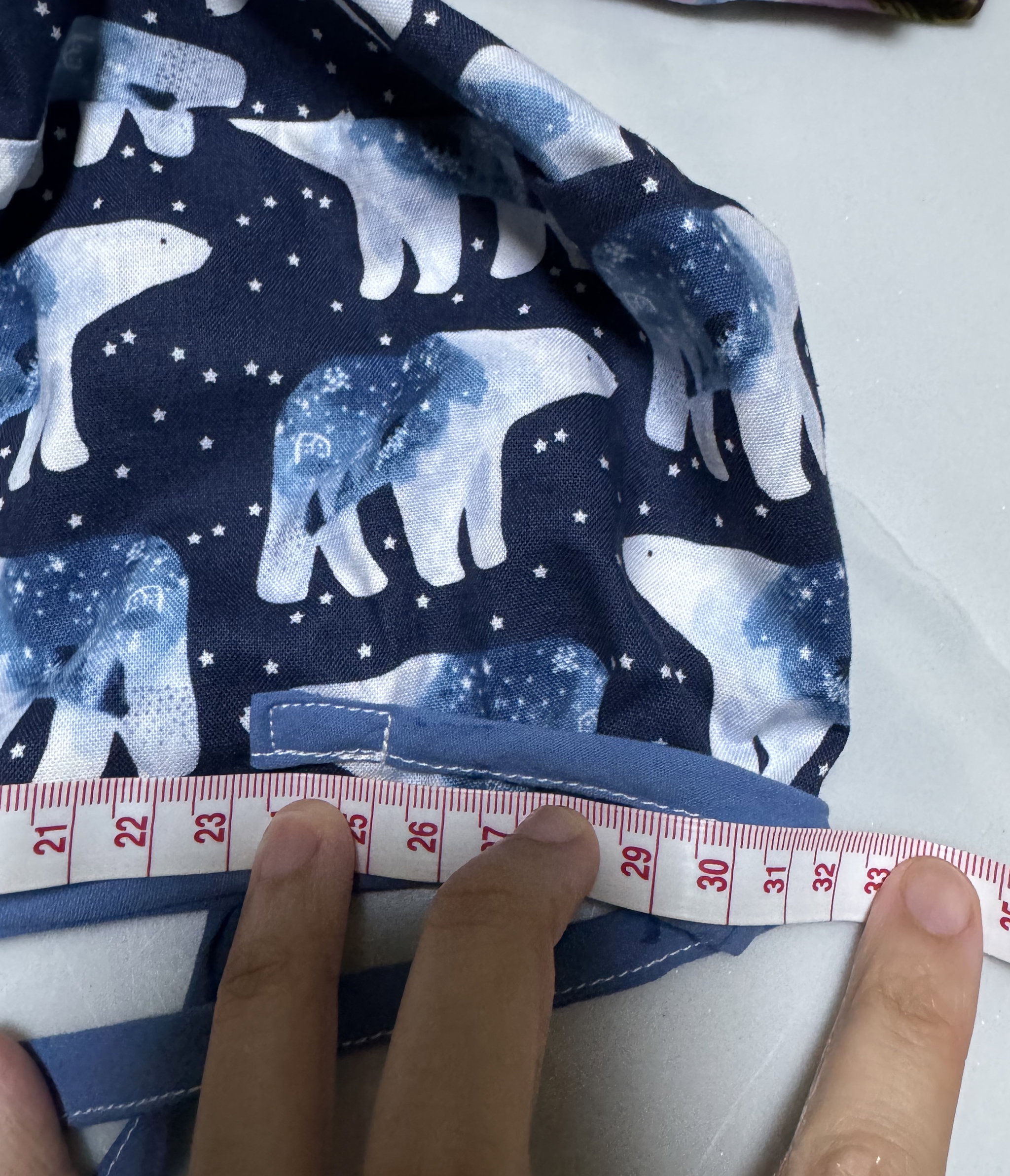 Polar Bears Non-reversible Double Lined Cap_3