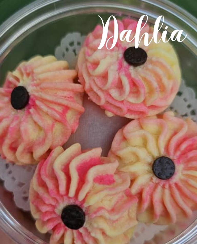 Dahlia_0