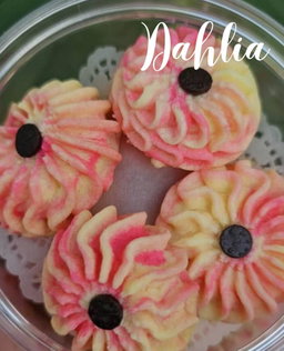 Dahlia