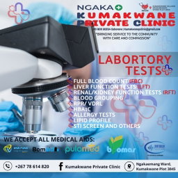 Flyer or poster design