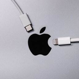 Apple cable (USB-C to Lightning)