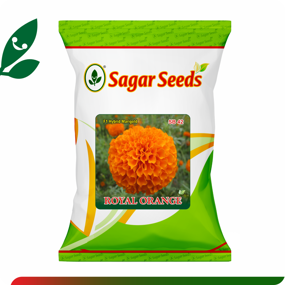 Sagar Royal Orange F1 Marigold (500 Seeds)