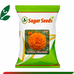 Sagar Royal Orange F1 Marigold (500 Seeds)