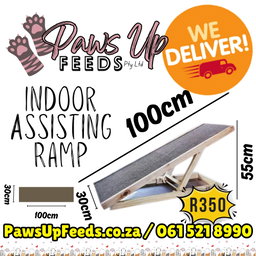 Assisting Indoor Ramp