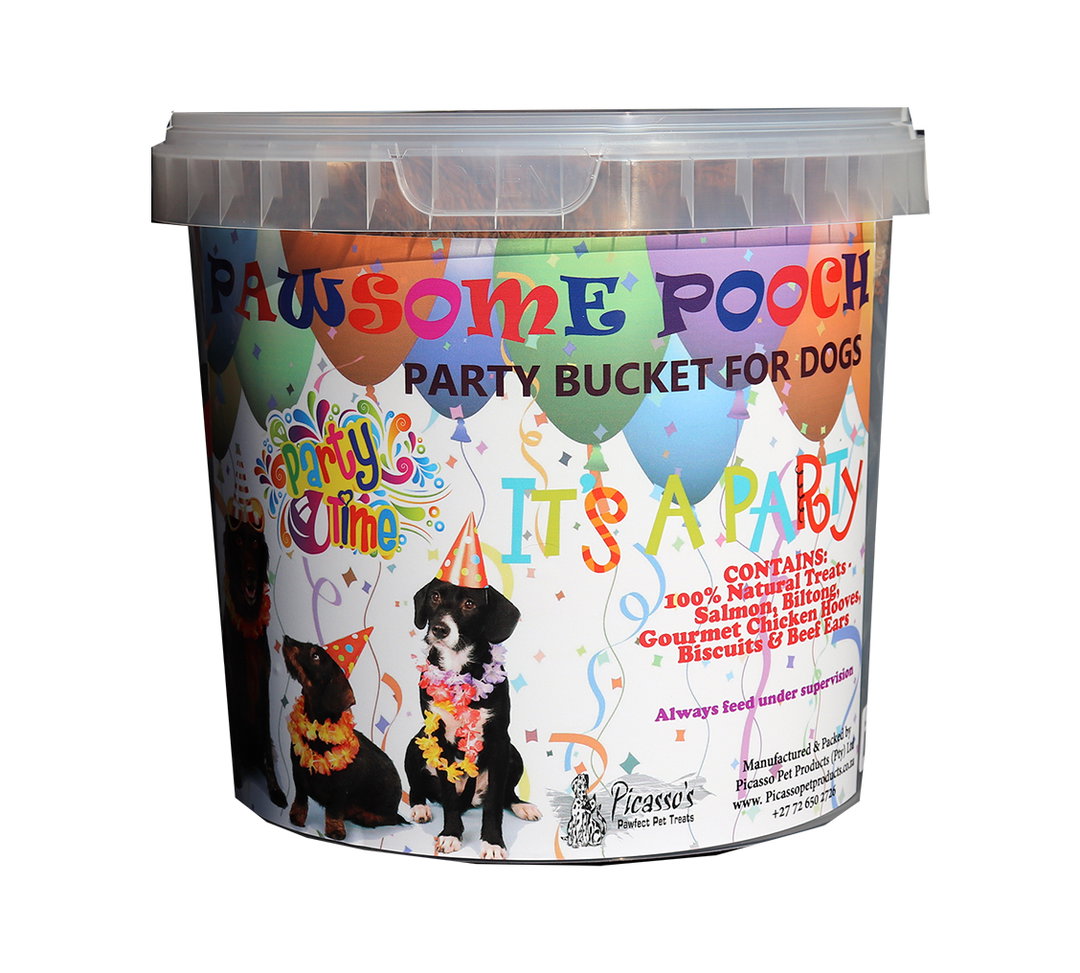 Party Bucket for x5 Dogs