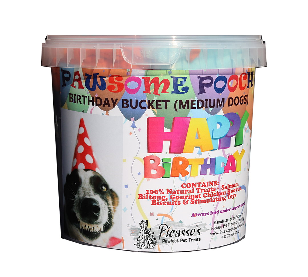 Birthday Bucket Medium Dogs