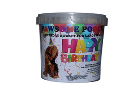 Birthday Bucket Large Dogs