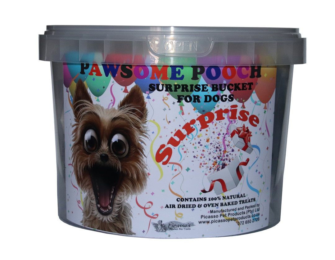 Surprise Bucket for Dogs