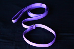 Slip Lead Webbing 1.8m x 2cm_0
