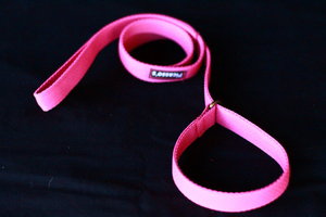 Slip Lead Webbing 1.8m x 2.5cm_0