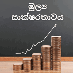 මූල්ය සාක්ෂරතාව