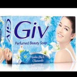 GIV batang Beauty (bunga)