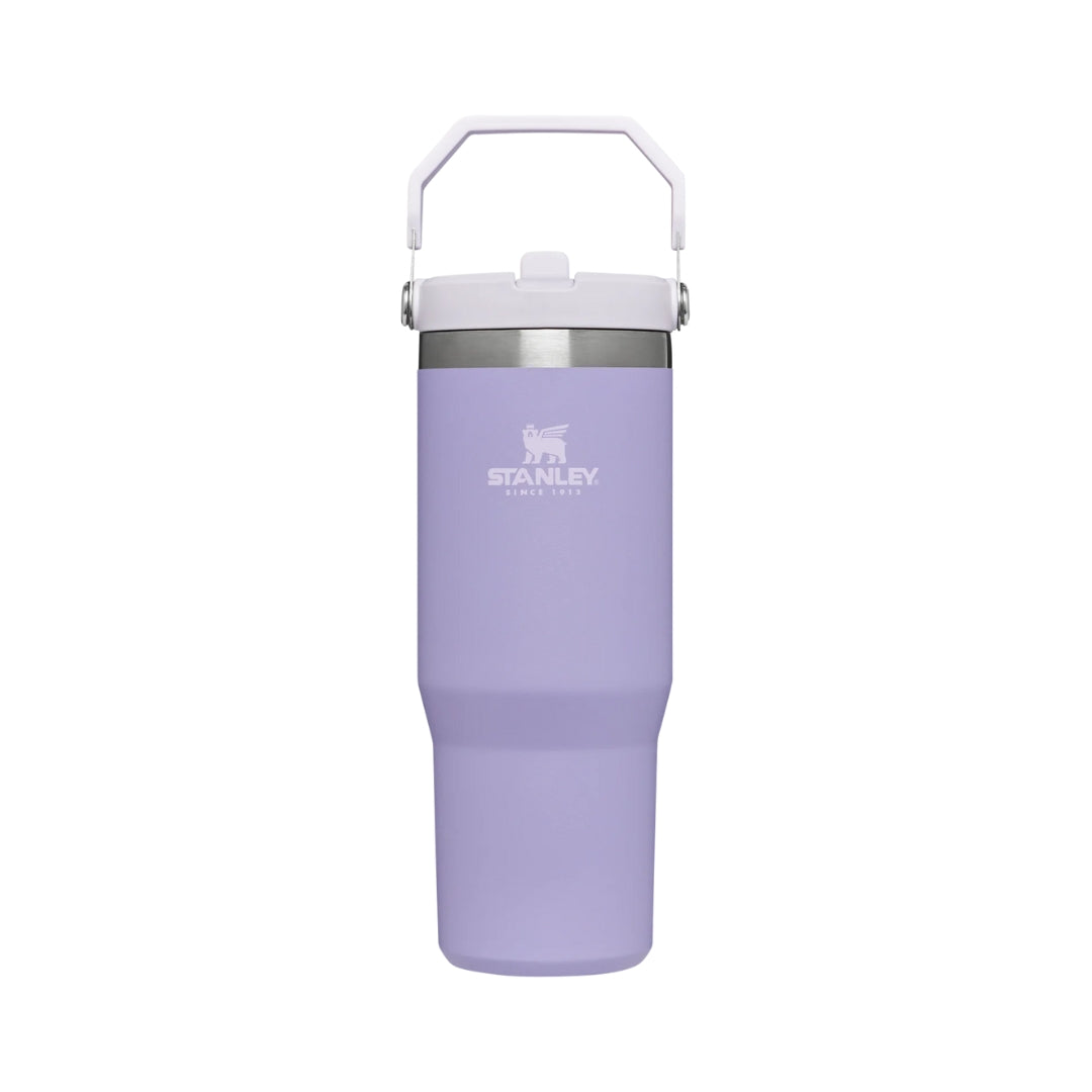 STANLEY IceFlow Flip Straw Tumbler 30oz_6