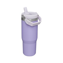 STANLEY IceFlow Flip Straw Tumbler 30oz