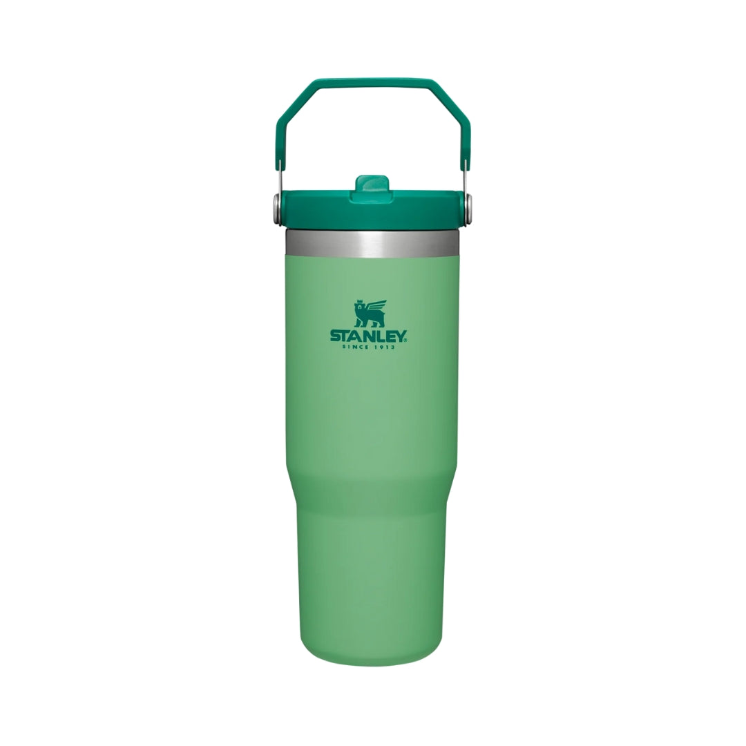 STANLEY IceFlow Flip Straw Tumbler 30oz_9