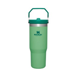 STANLEY IceFlow Flip Straw Tumbler 30oz