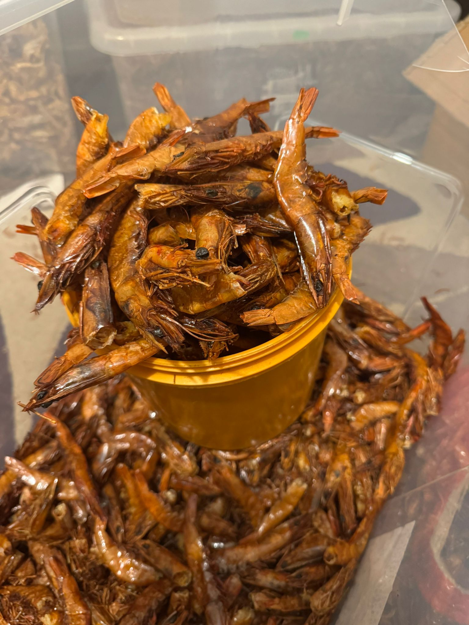 Odogwu giant shrimps_0