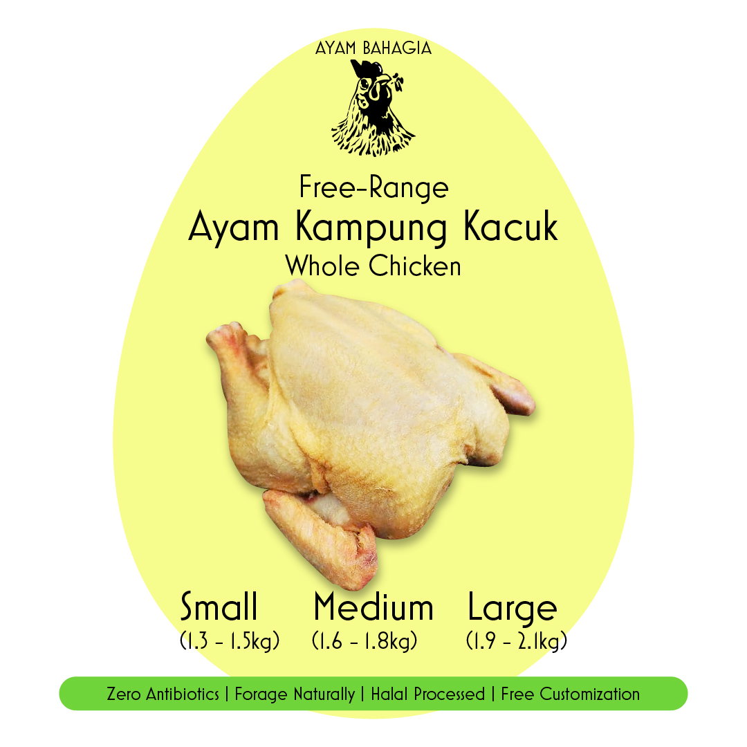 Free Range Kampung Kacuk Chicken (Large)