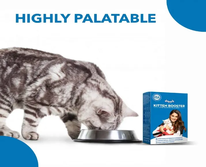 Drools Kitten Booster 300g_0