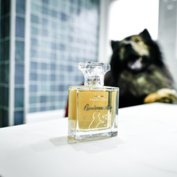 Francodex Gourmandise Perfume For Dogs 50ml