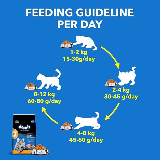Drools Cat Dry Food  Real Chicken 1.2kg_1