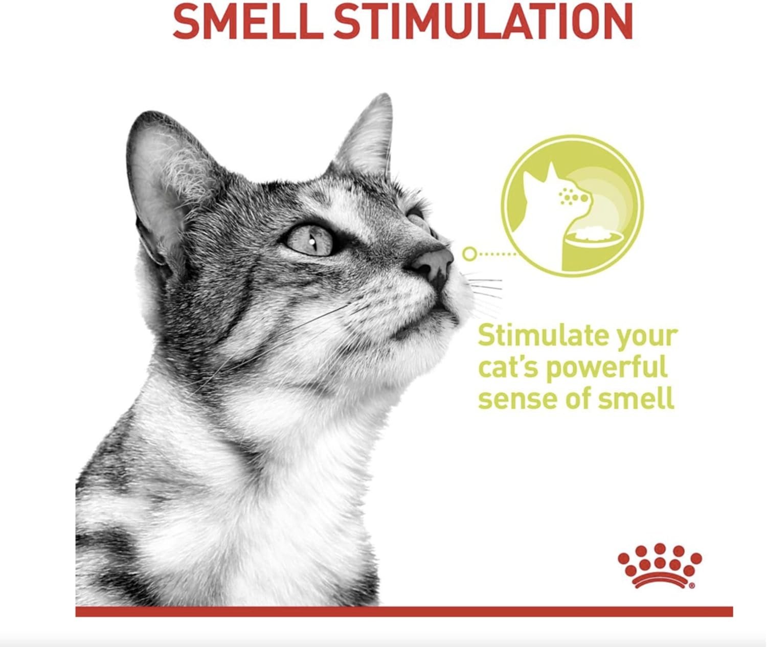 Feline Health Nutrition Sensory Smell Gravy (WET FOOD – POUCHES) 12x85G_2