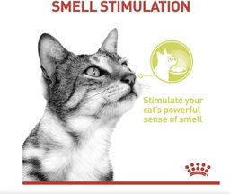 Feline Health Nutrition Sensory Smell Gravy (WET FOOD – POUCHES) 12x85G