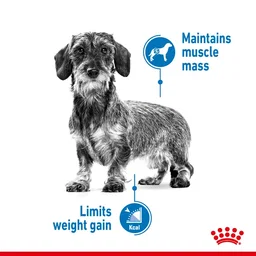 Canine Care Nutrition Light Weight Care (WET FOOD – Pouches) 85g